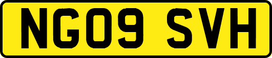 NG09SVH