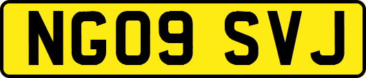 NG09SVJ