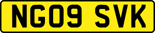 NG09SVK