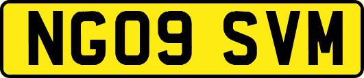 NG09SVM