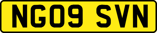 NG09SVN
