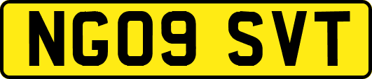 NG09SVT