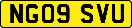 NG09SVU