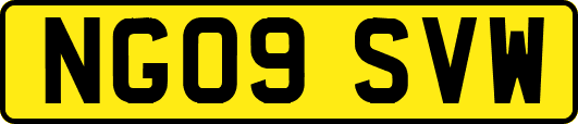 NG09SVW