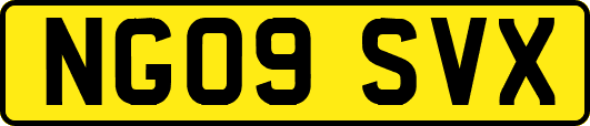 NG09SVX