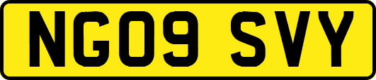 NG09SVY
