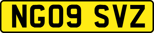 NG09SVZ
