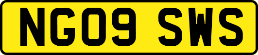NG09SWS