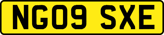 NG09SXE