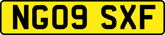 NG09SXF