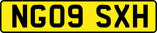 NG09SXH