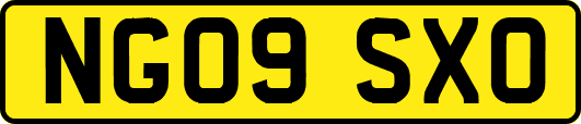 NG09SXO