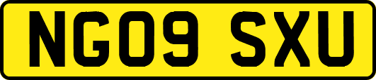 NG09SXU