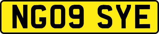 NG09SYE
