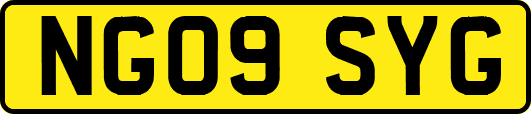 NG09SYG