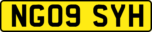 NG09SYH