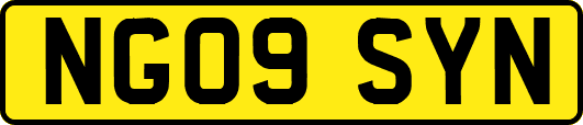 NG09SYN