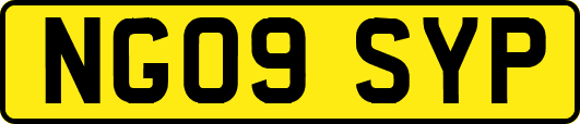 NG09SYP