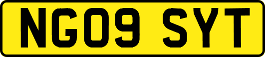 NG09SYT