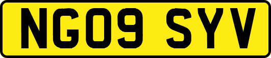 NG09SYV