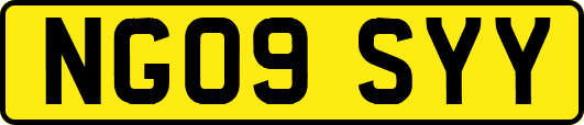 NG09SYY