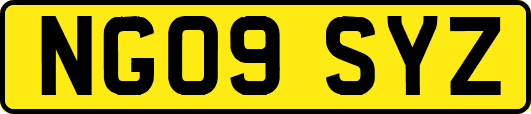 NG09SYZ
