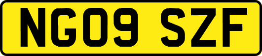 NG09SZF