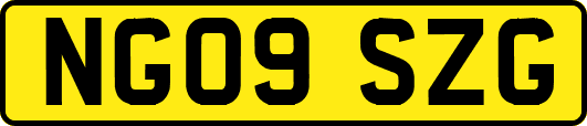 NG09SZG