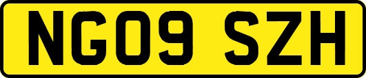 NG09SZH