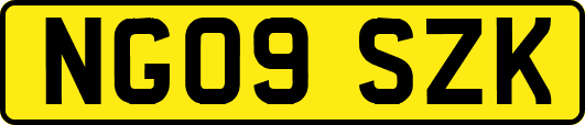 NG09SZK