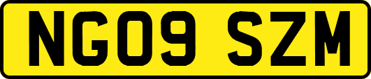 NG09SZM