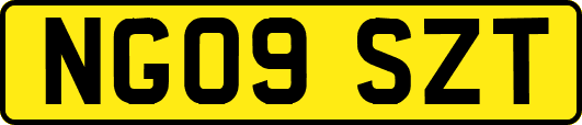 NG09SZT