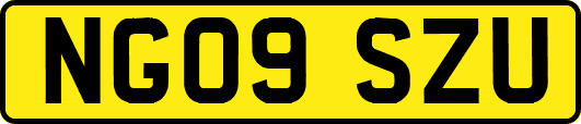 NG09SZU
