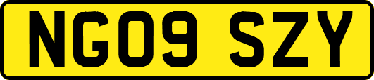 NG09SZY