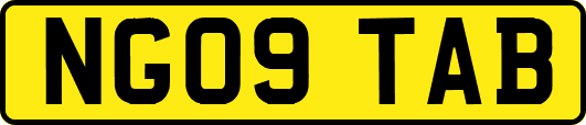 NG09TAB
