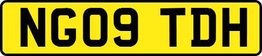 NG09TDH