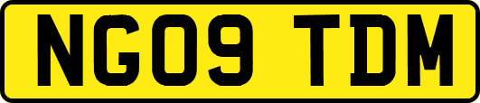 NG09TDM