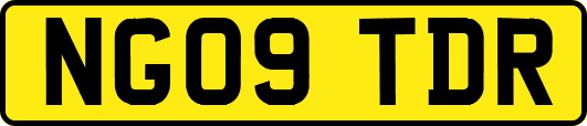 NG09TDR