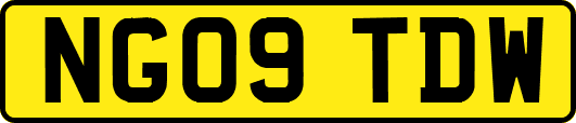 NG09TDW