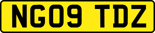 NG09TDZ