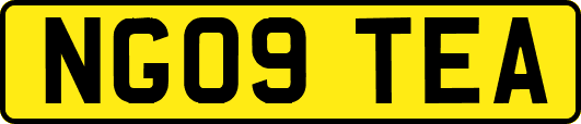 NG09TEA