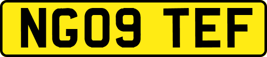 NG09TEF