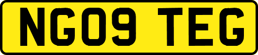NG09TEG