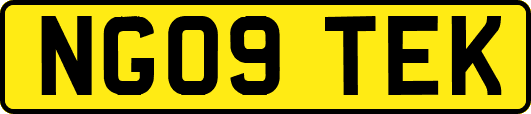 NG09TEK