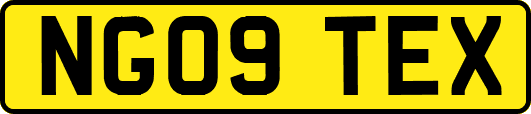 NG09TEX