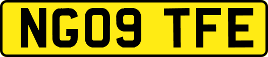 NG09TFE