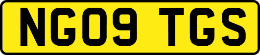NG09TGS