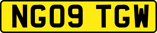NG09TGW