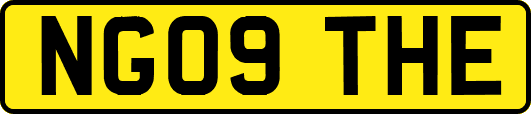 NG09THE