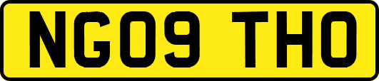 NG09THO